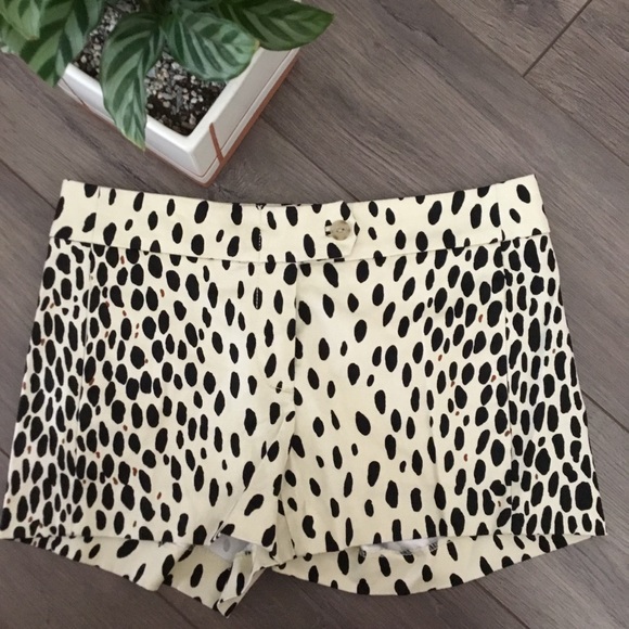 J. Crew Pants - JCREW Giraffe Print Stretch Chino Shorts 3” NWT